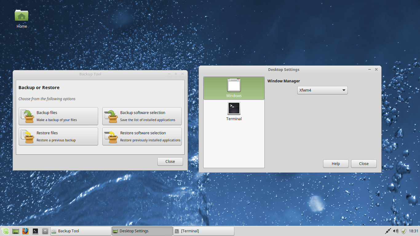 Linux Mint desktop screenshot: 17.3 backup
