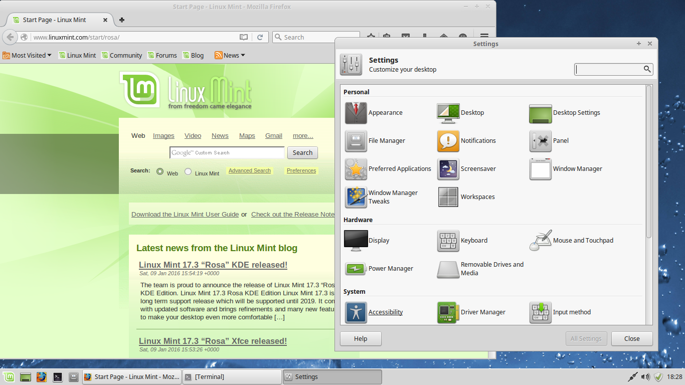 Linux Mint desktop screenshot: 17.3 settings