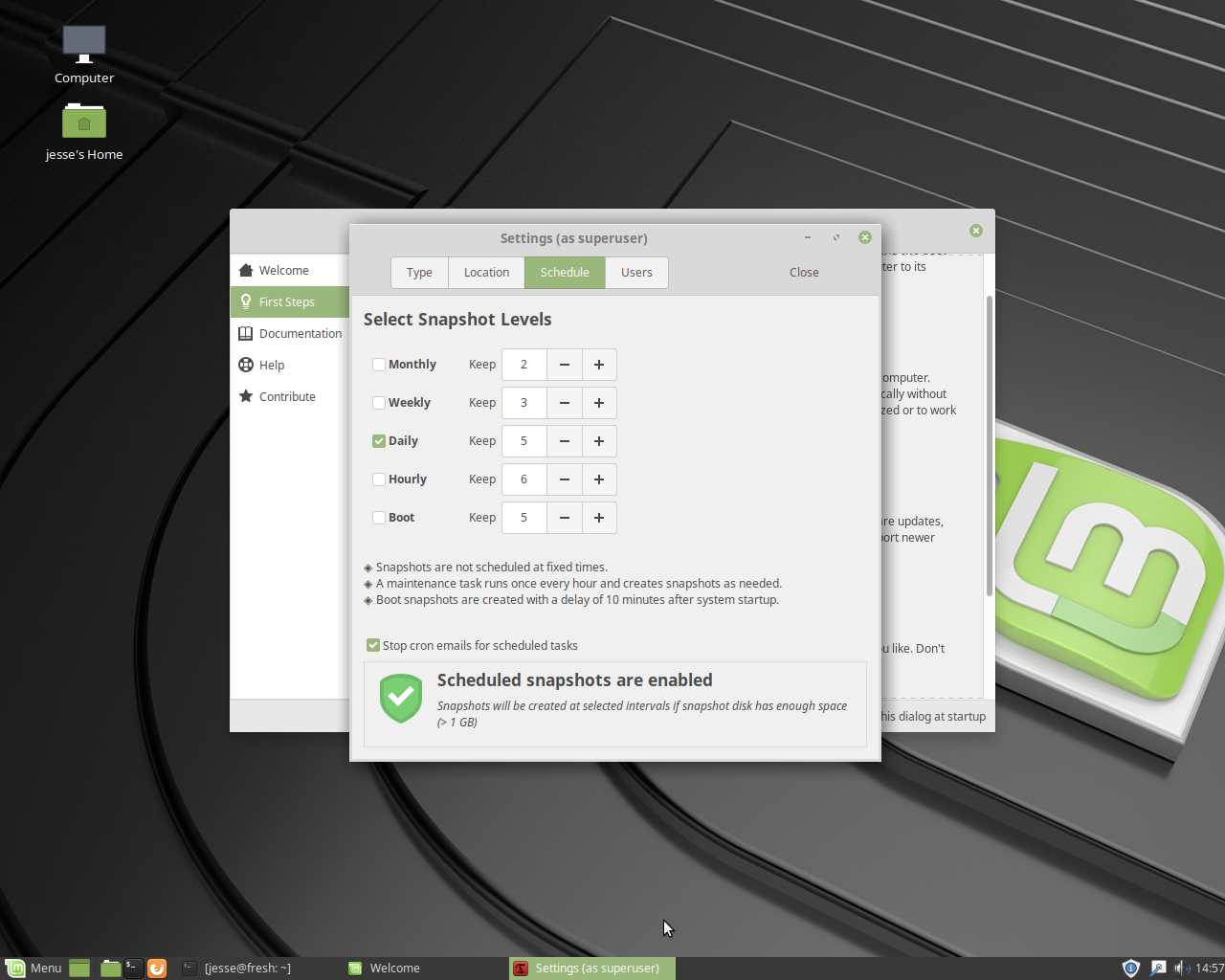 Linux Mint desktop screenshot: 19 timeshift