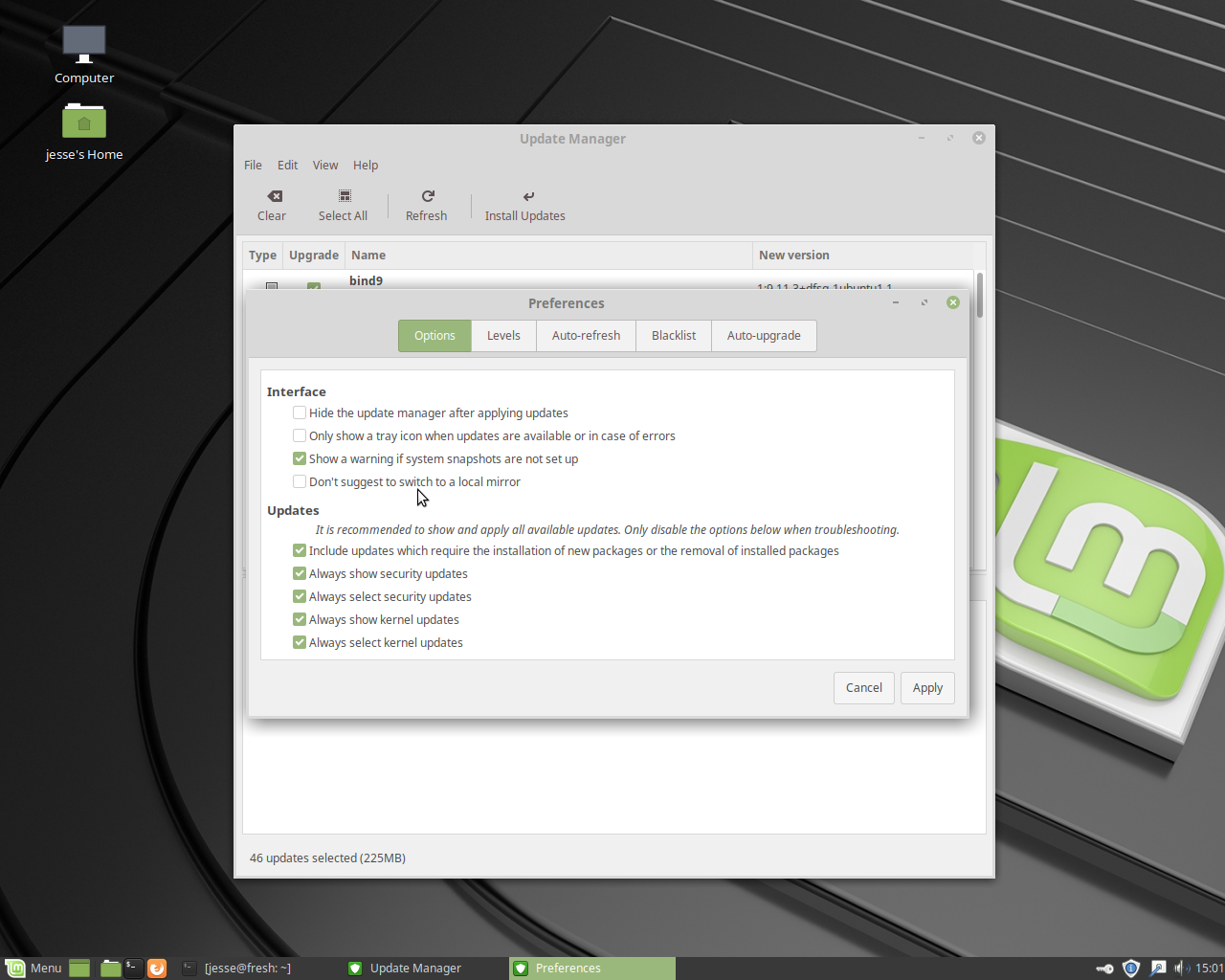 Linux Mint desktop screenshot: 19 updates
