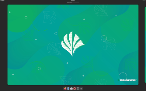 MIRACLE desktop screenshot: Distribution overview