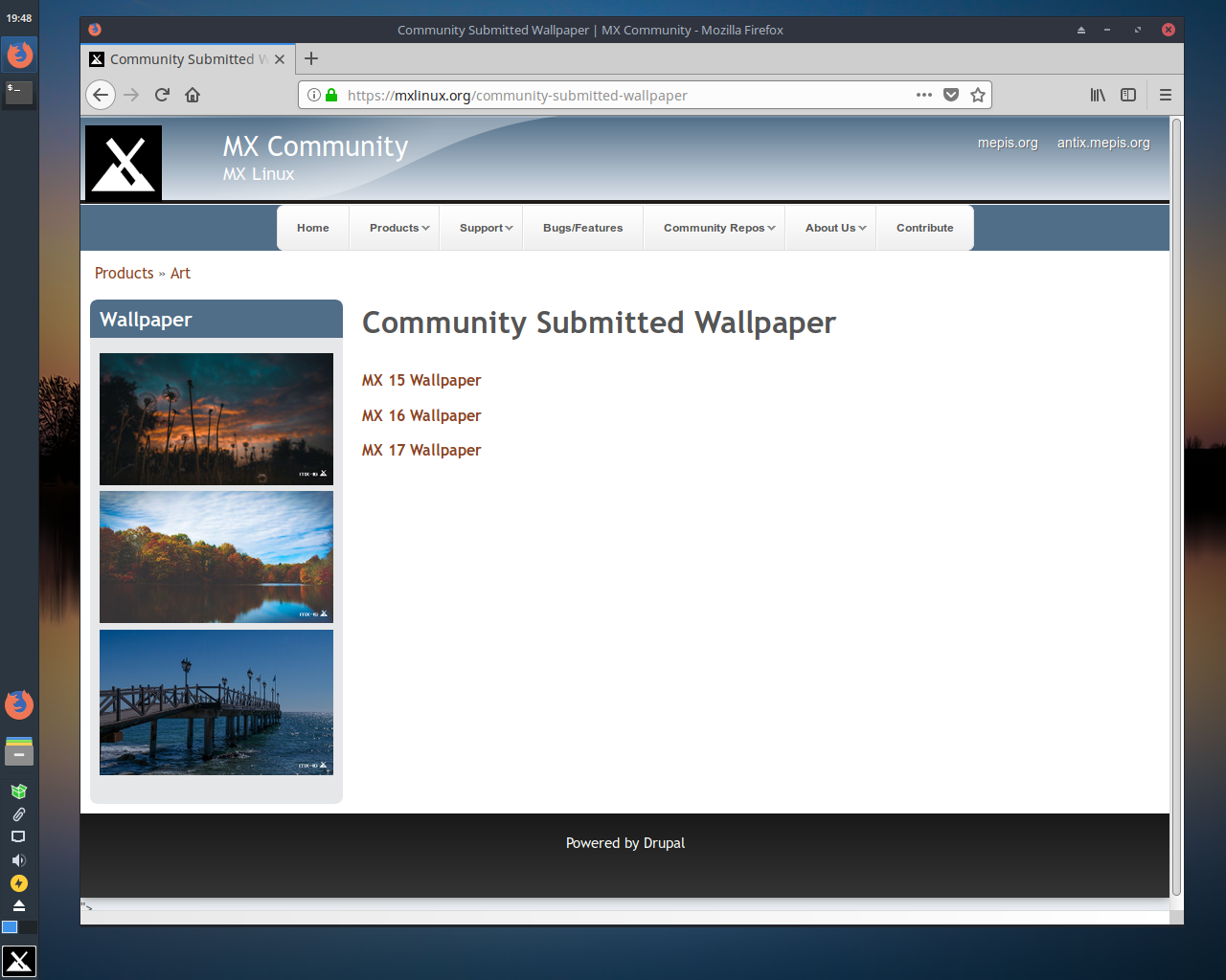 MX Linux desktop screenshot: 17 firefox