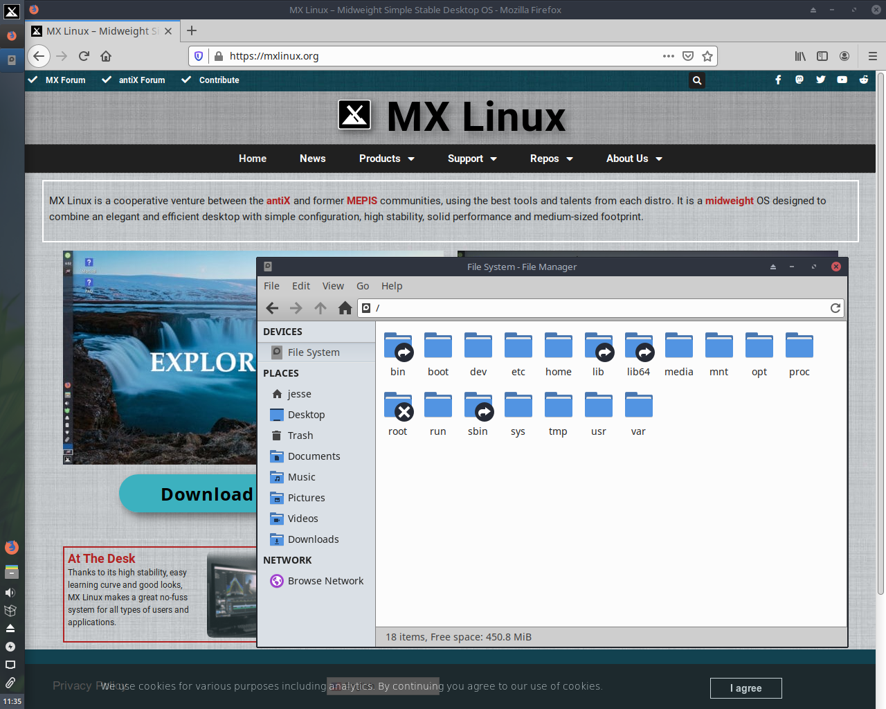 MX Linux desktop screenshot: 19 firefox