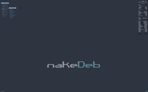 nakeDeb desktop screenshot: Distribution overview