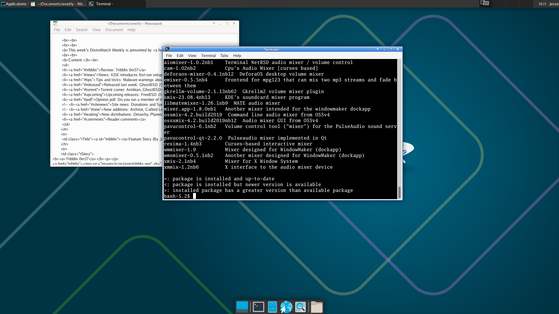 NetBSD desktop screenshot: 10.1 editing pkgin