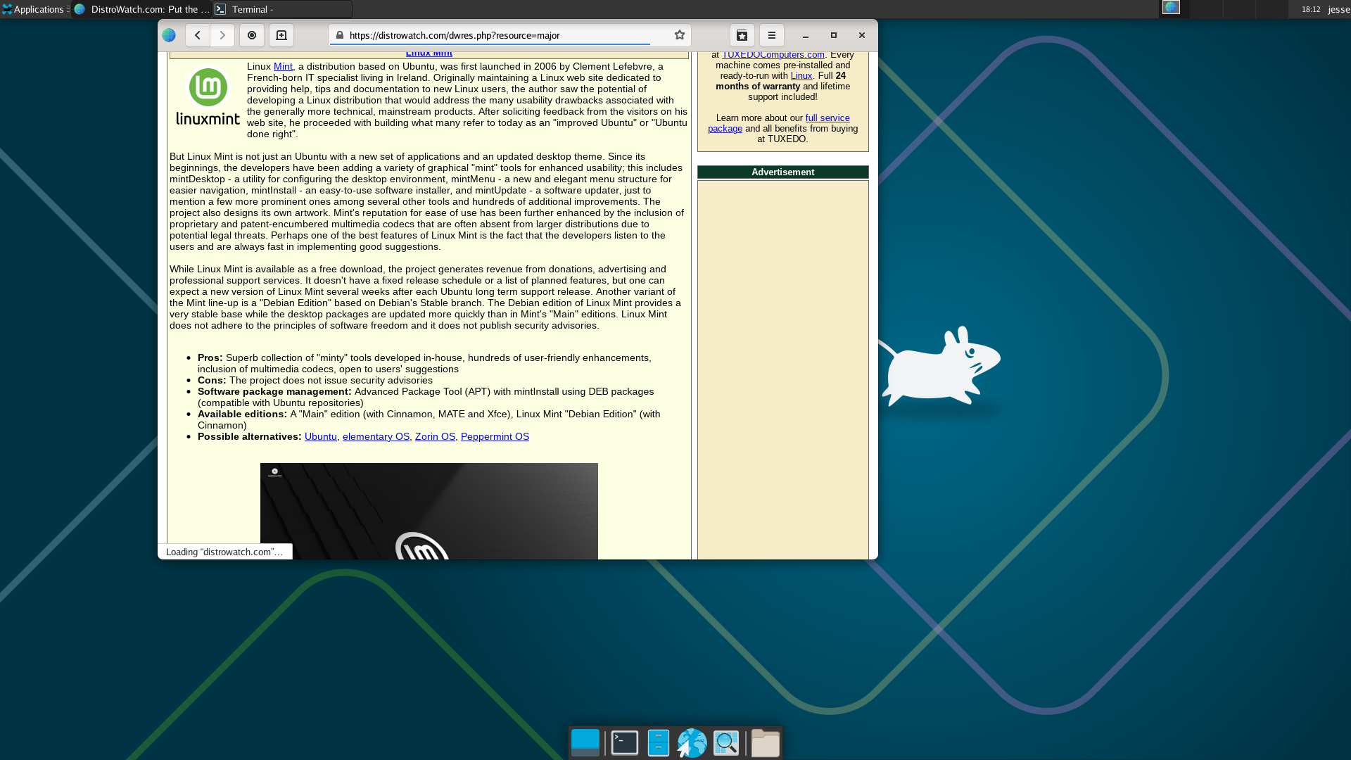 NetBSD desktop screenshot: 10.1 epiphany