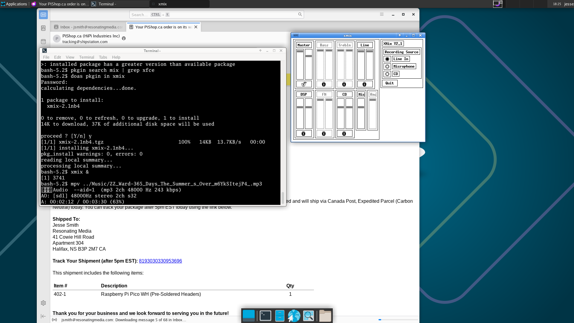 NetBSD desktop screenshot: 10.1 mixer