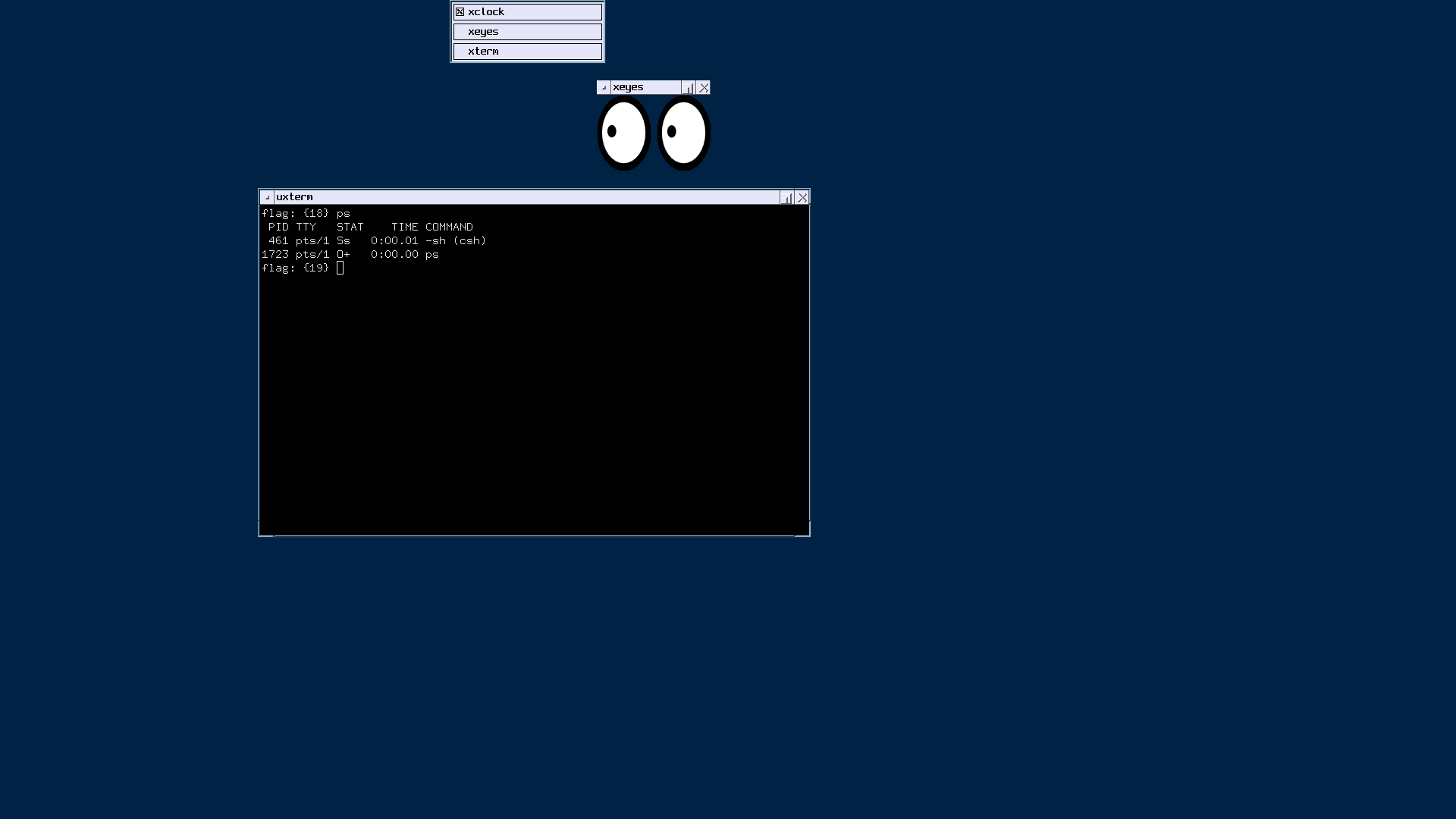 NetBSD desktop screenshot: 10.1 xeyes