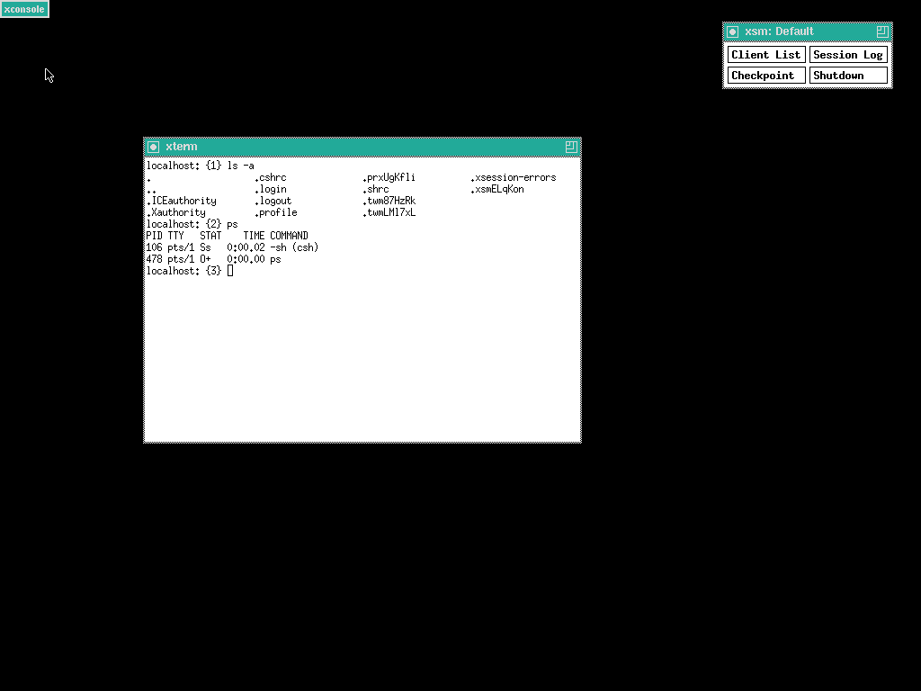 NetBSD desktop screenshot: 8.0 twm