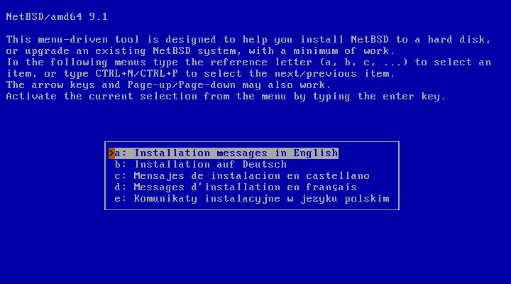NetBSD desktop screenshot: 9.1