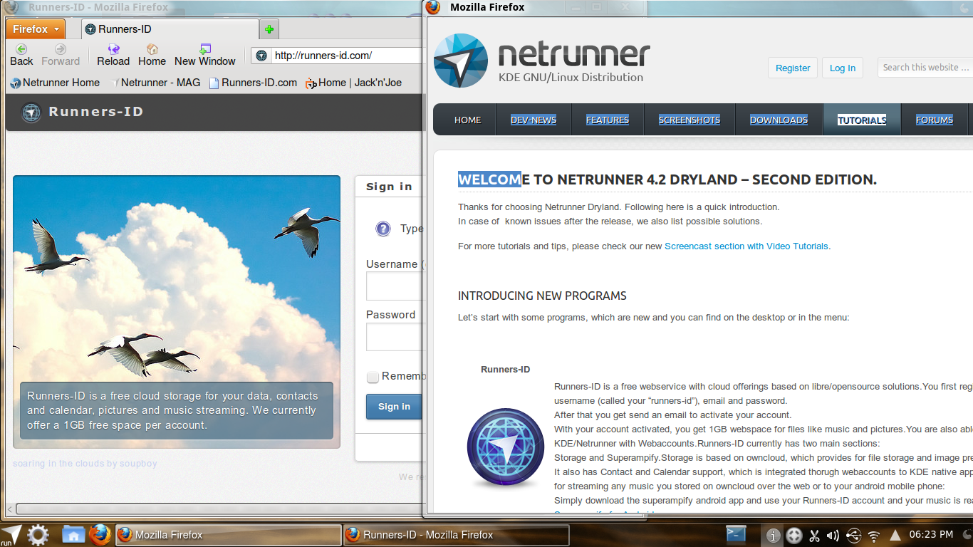 Netrunner desktop screenshot: 4.2 web