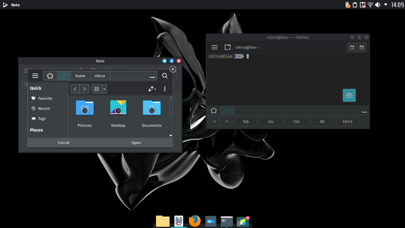 Nitrux desktop screenshot: 2020.09.05 window size