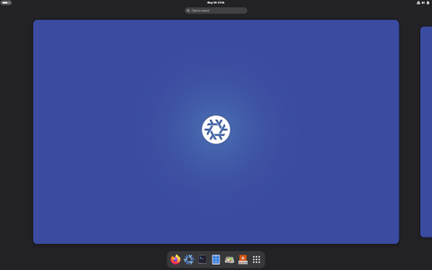 NixOS desktop screenshot: Distribution overview