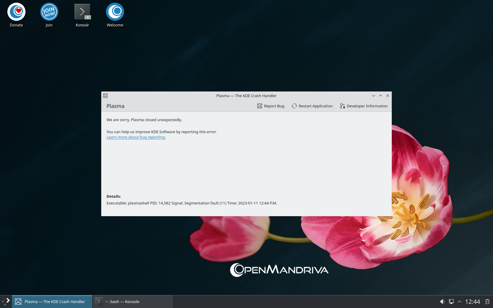 OpenMandriva desktop screenshot: 23.01 crash