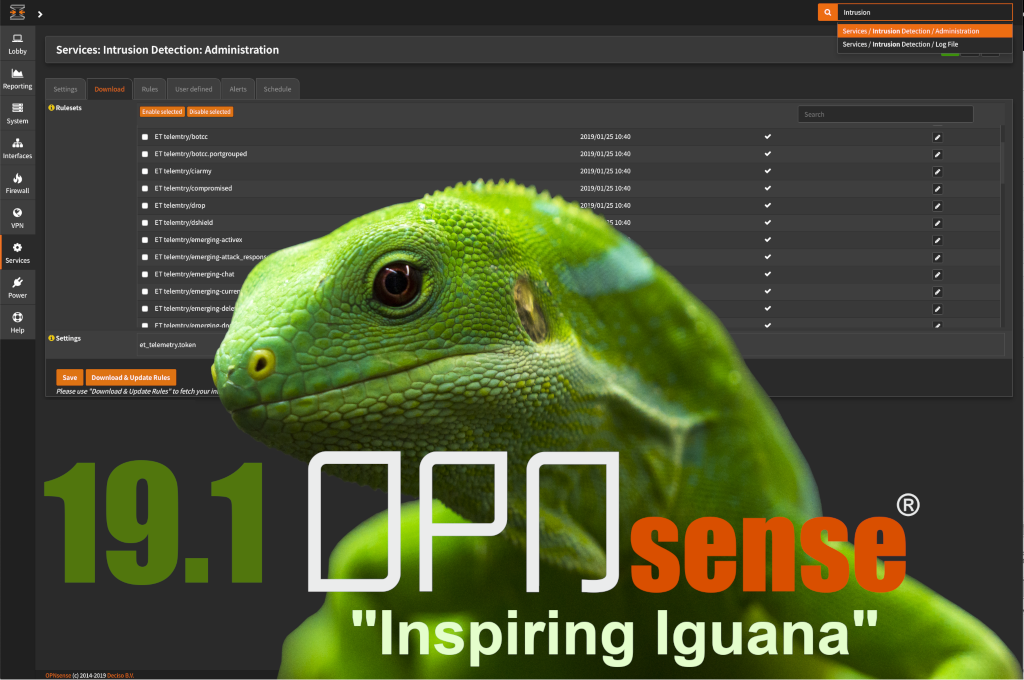 OPNsense desktop screenshot: 19.1