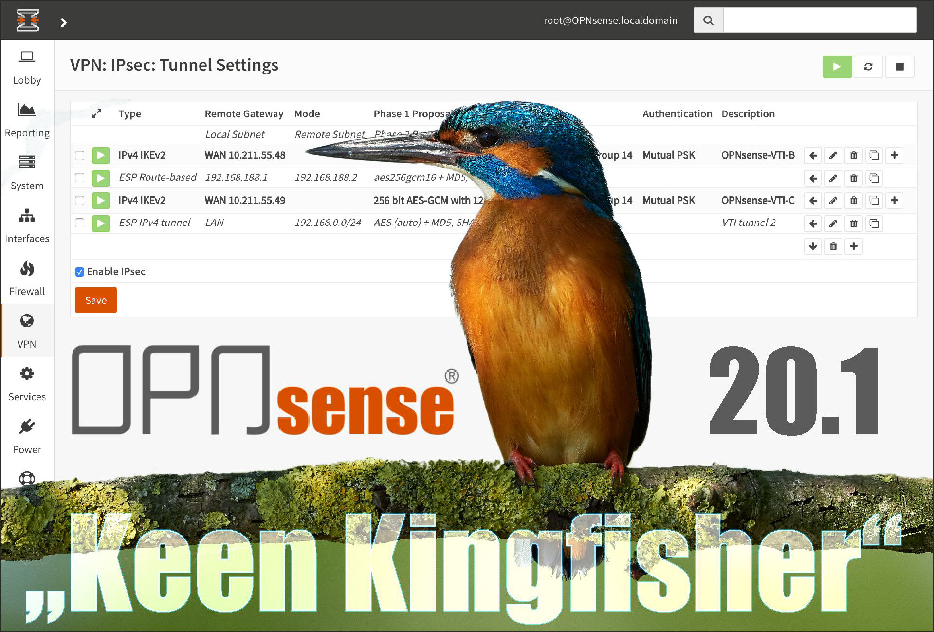 OPNsense desktop screenshot: 20.1
