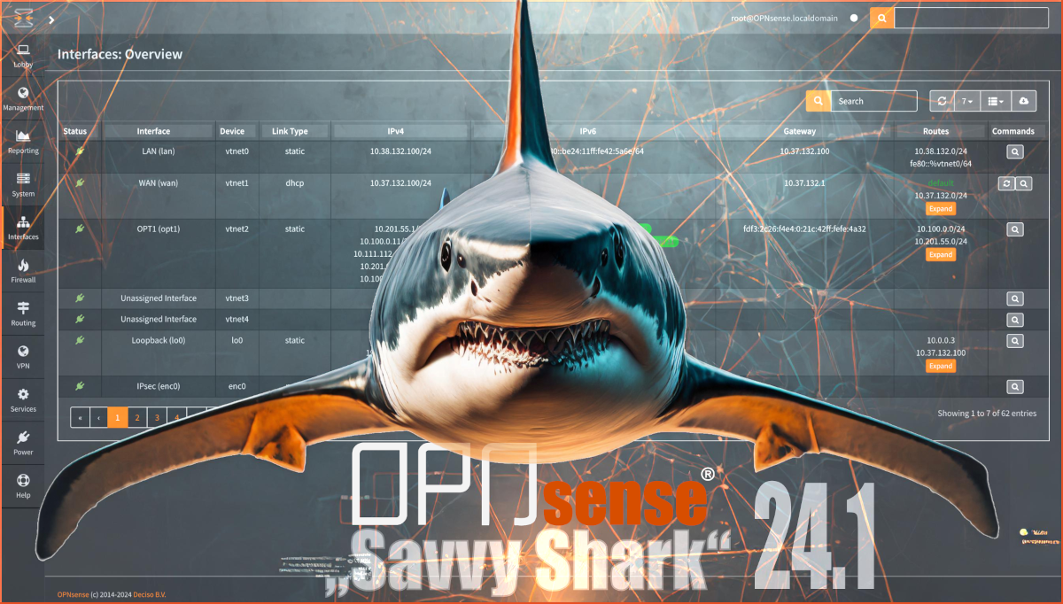 OPNsense desktop screenshot: 24.1