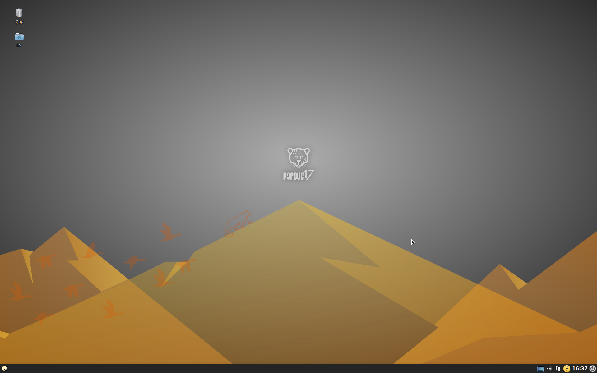 Pardus desktop screenshot: 17.0