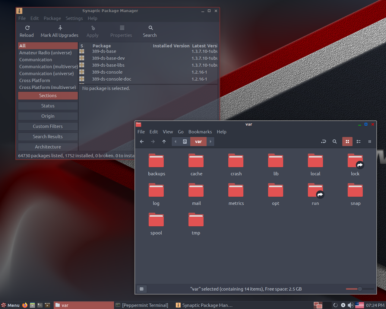 Peppermint desktop screenshot: 10 files