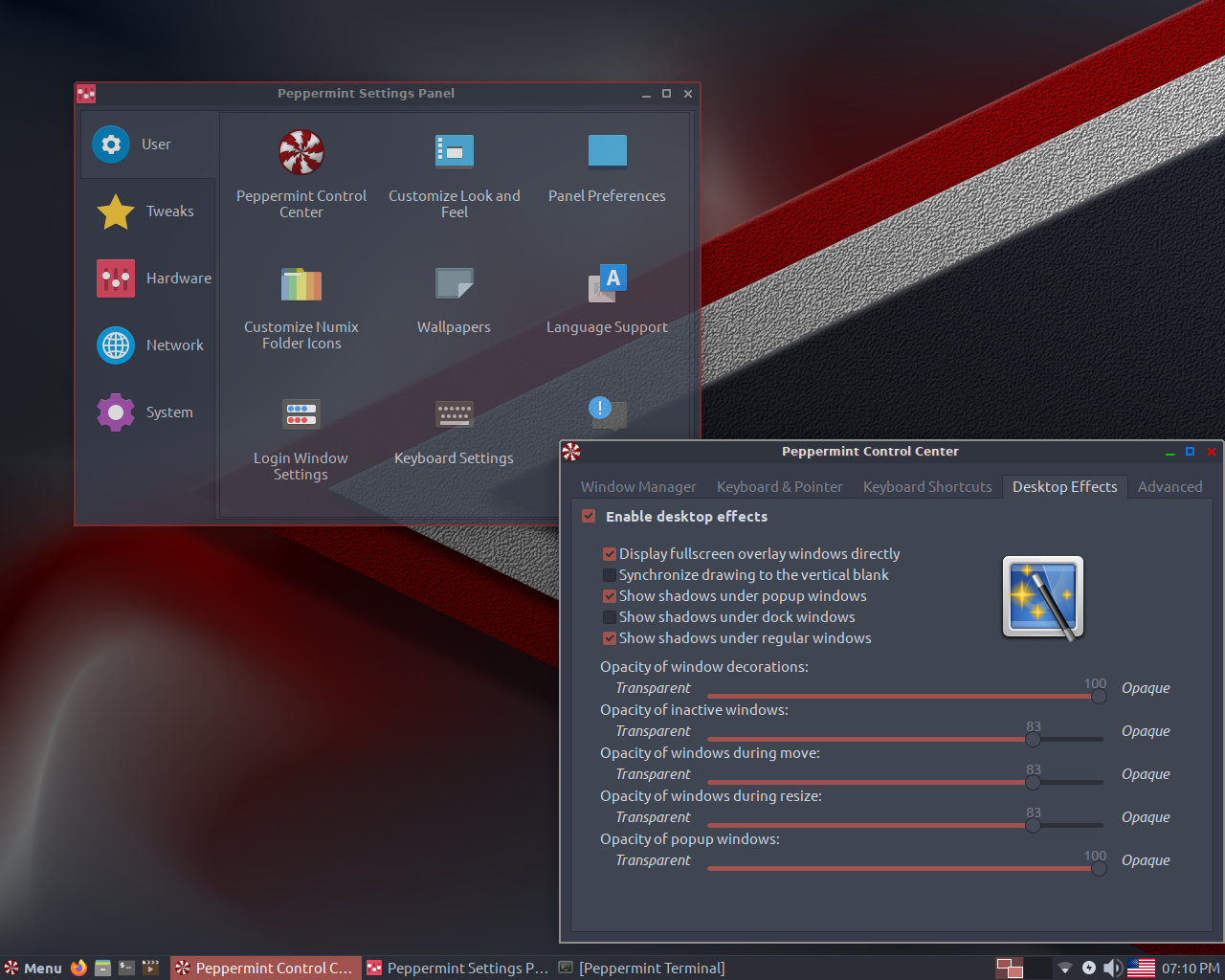 Peppermint desktop screenshot: 10 settings
