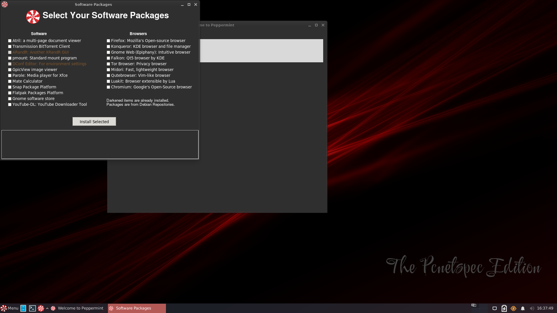 Peppermint desktop screenshot: 2022 02 02 browsers