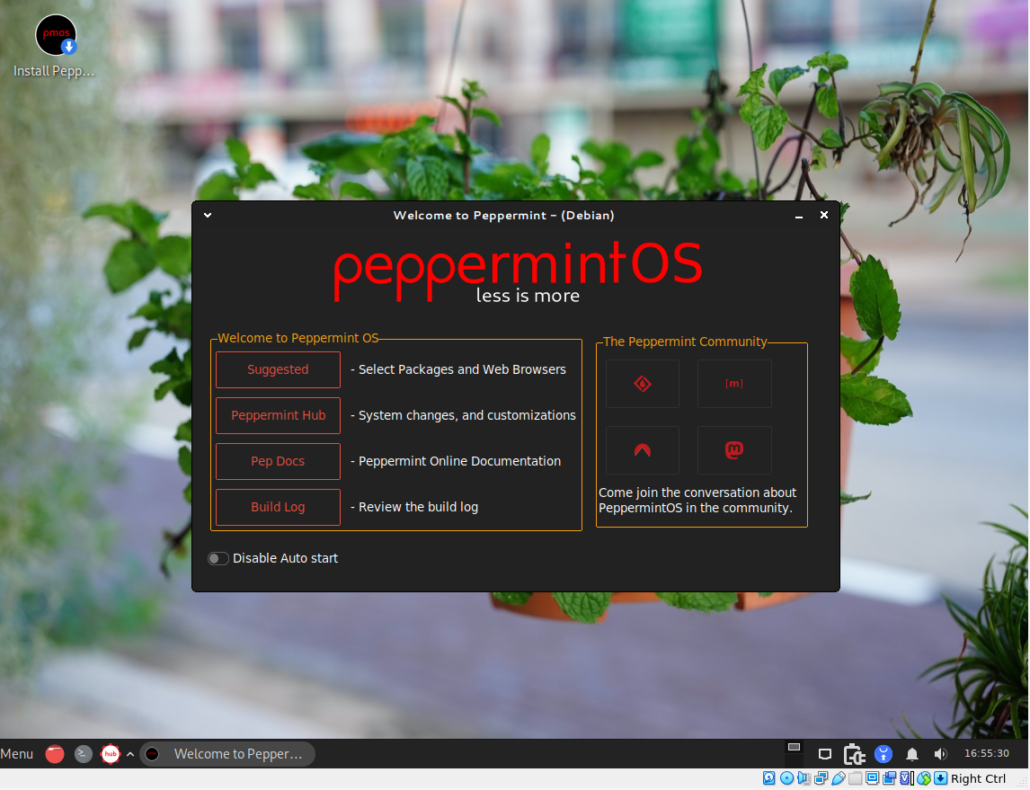 Peppermint desktop screenshot: 2023 07 01 pepp1