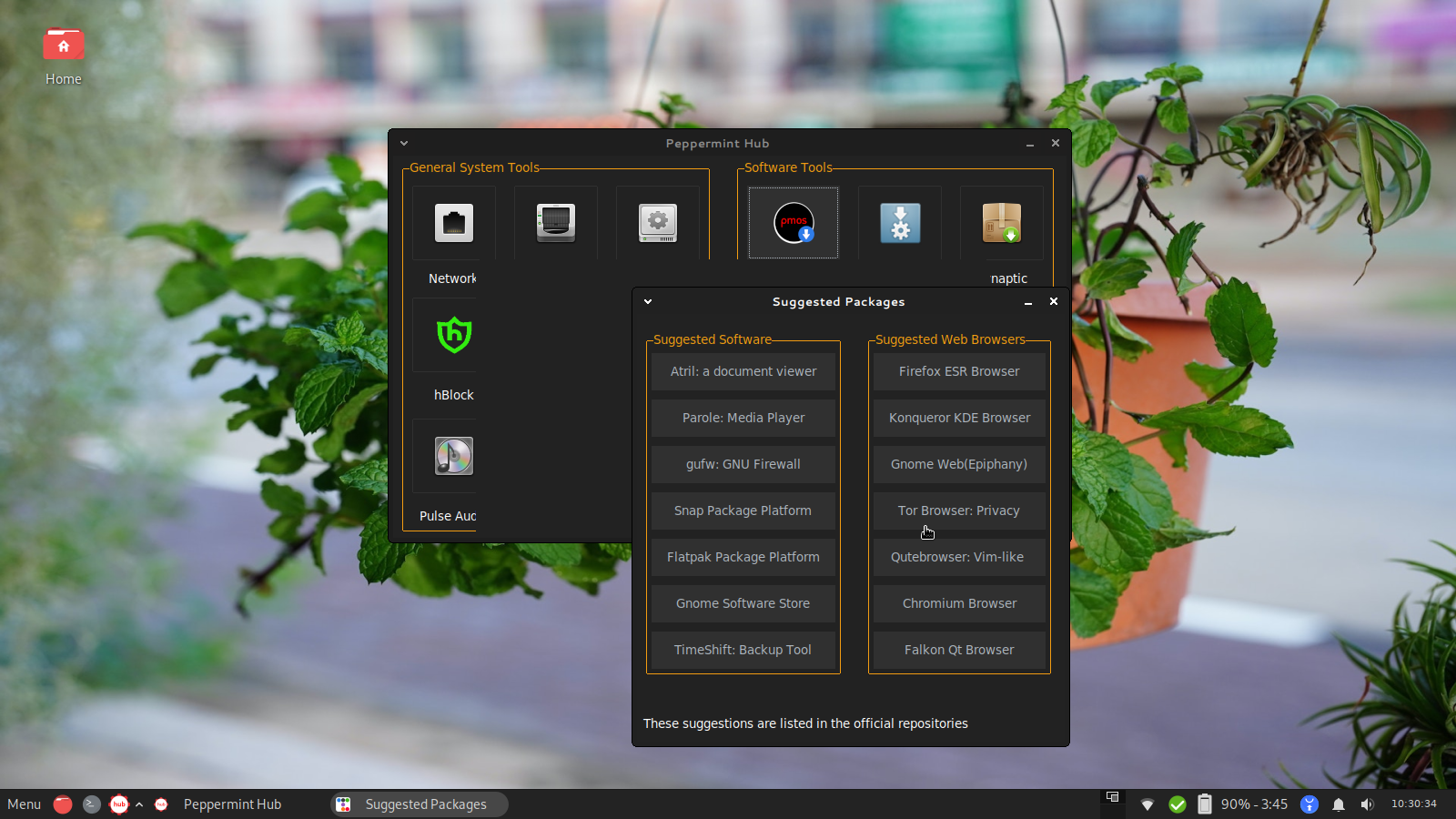 Peppermint desktop screenshot: 2023 07 01 suggested