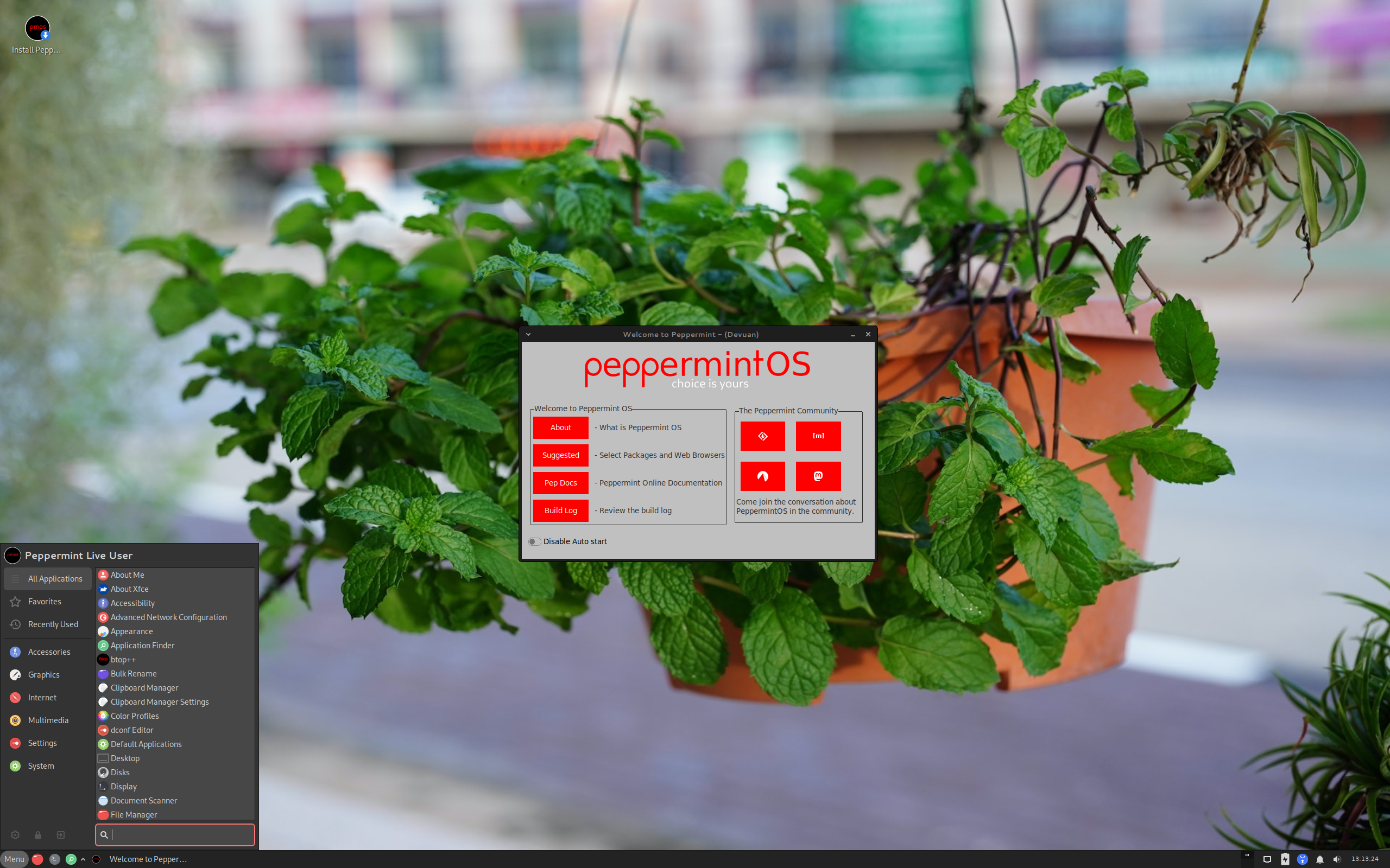 Peppermint desktop screenshot: 2024 07 01