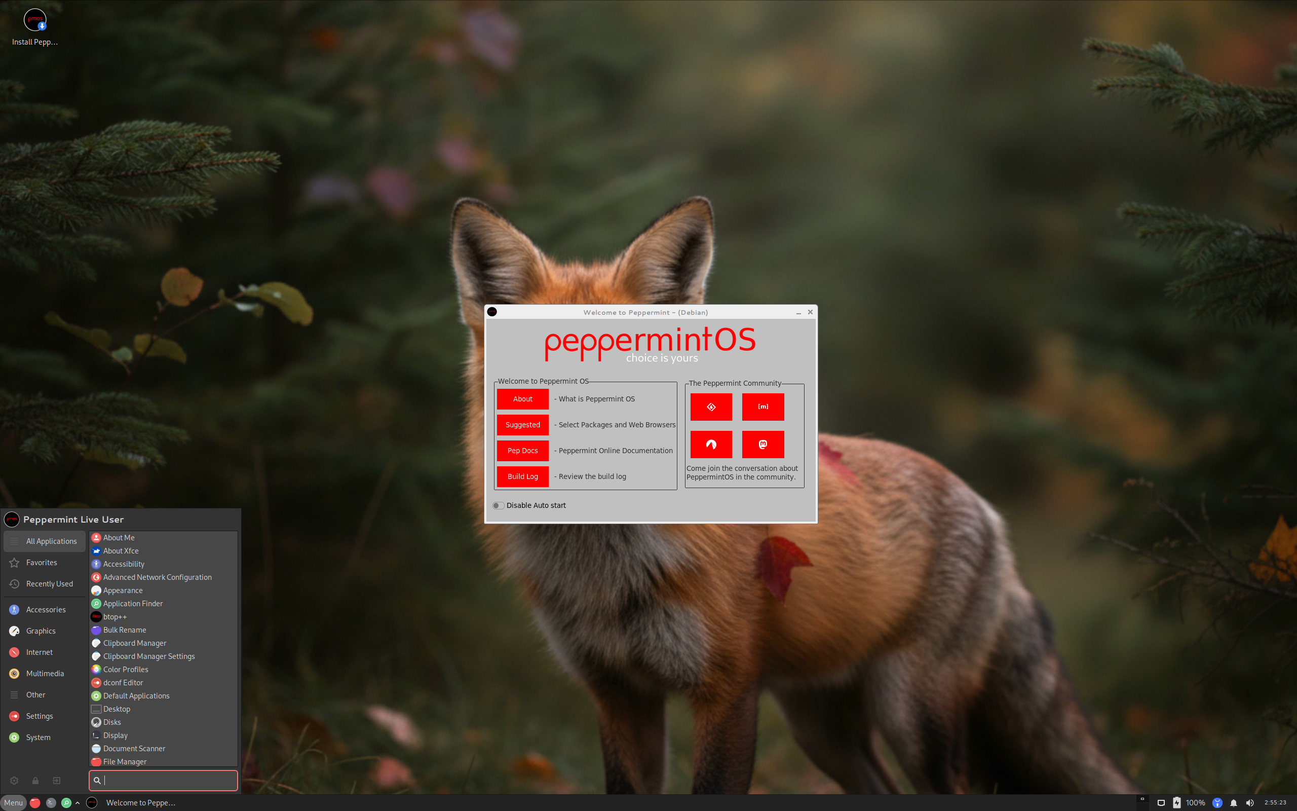 Peppermint desktop screenshot: 2025 10 12