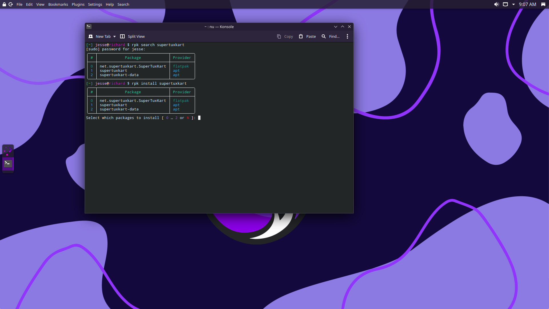 Rhino desktop screenshot: 2025.3 rpk
