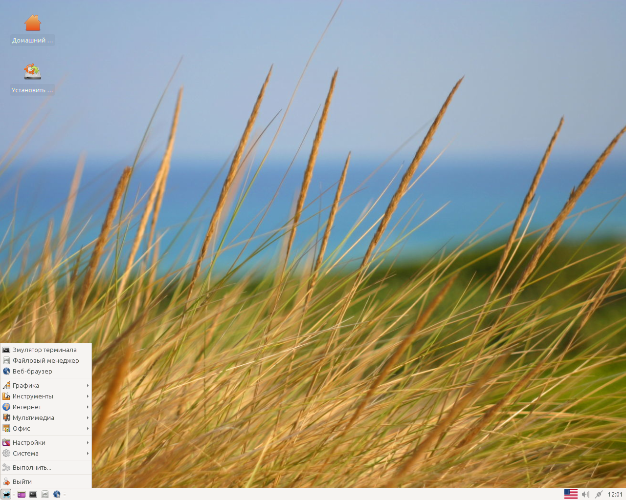 Runtu desktop screenshot: 12.04