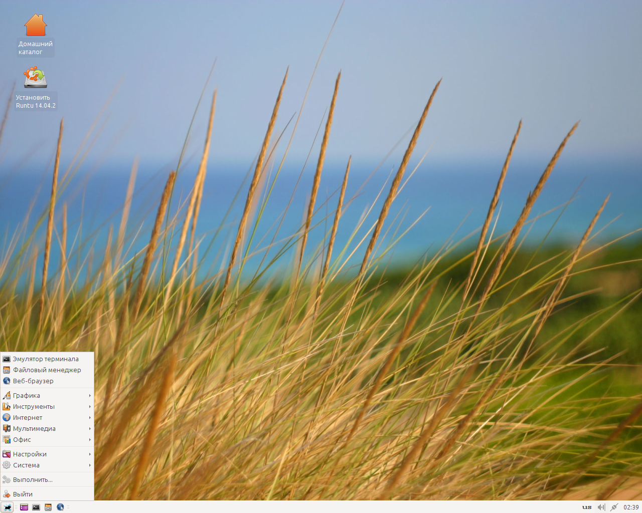 Runtu desktop screenshot: 14.04.2