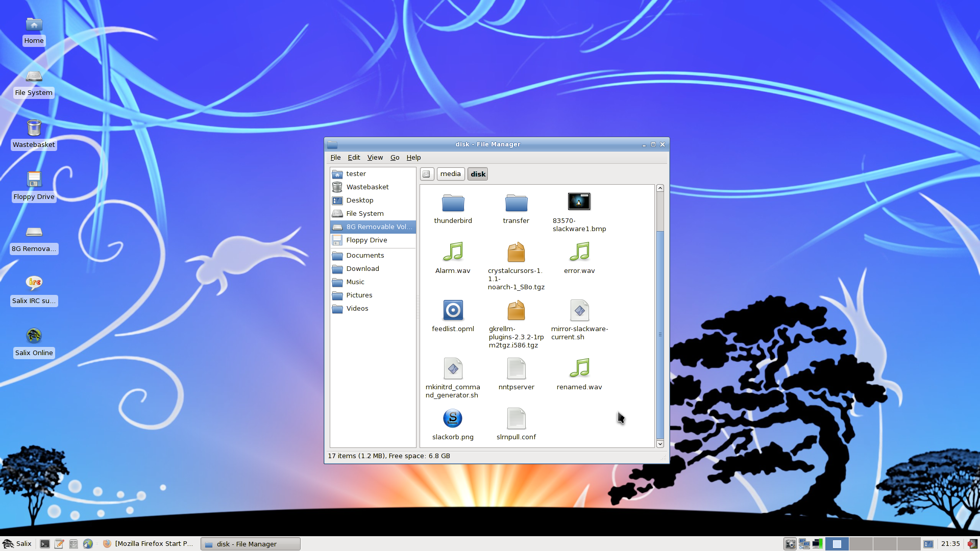 Salix desktop screenshot: 13.0.2 desktop