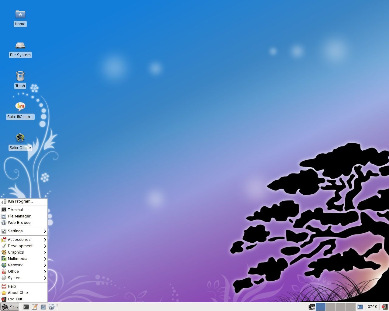 Salix desktop screenshot: 13.1