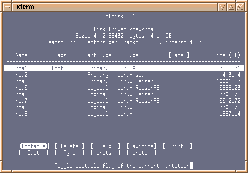 Slackware desktop screenshot: cfdisk