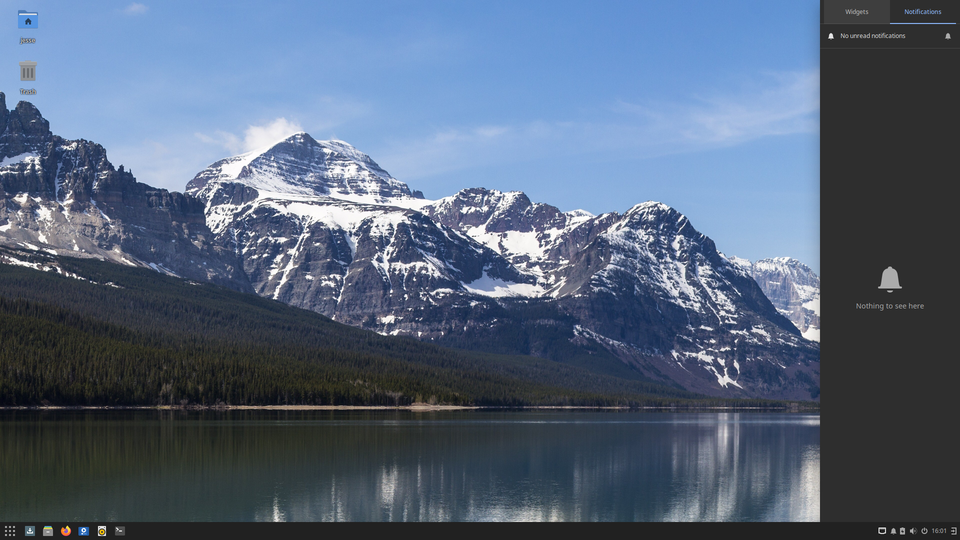 Solus desktop screenshot: 4.5 notifications