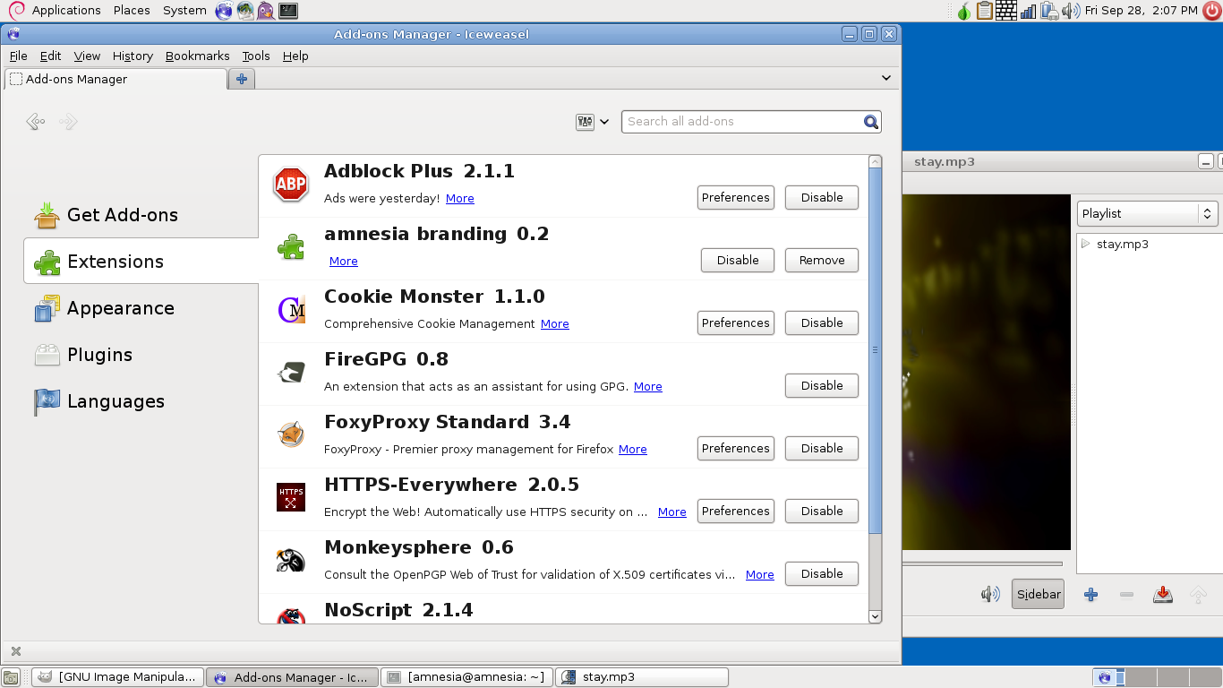 Tails desktop screenshot: 0.13 web
