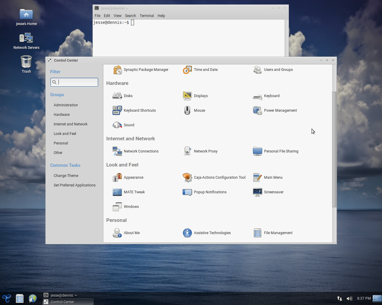 Trisquel desktop screenshot: 9.0 settings