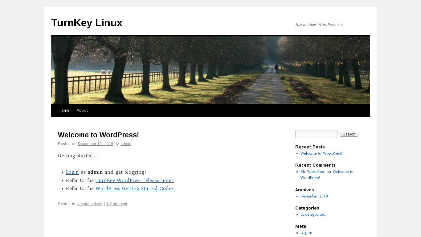 TurnKey desktop screenshot: 11.3 wordpress