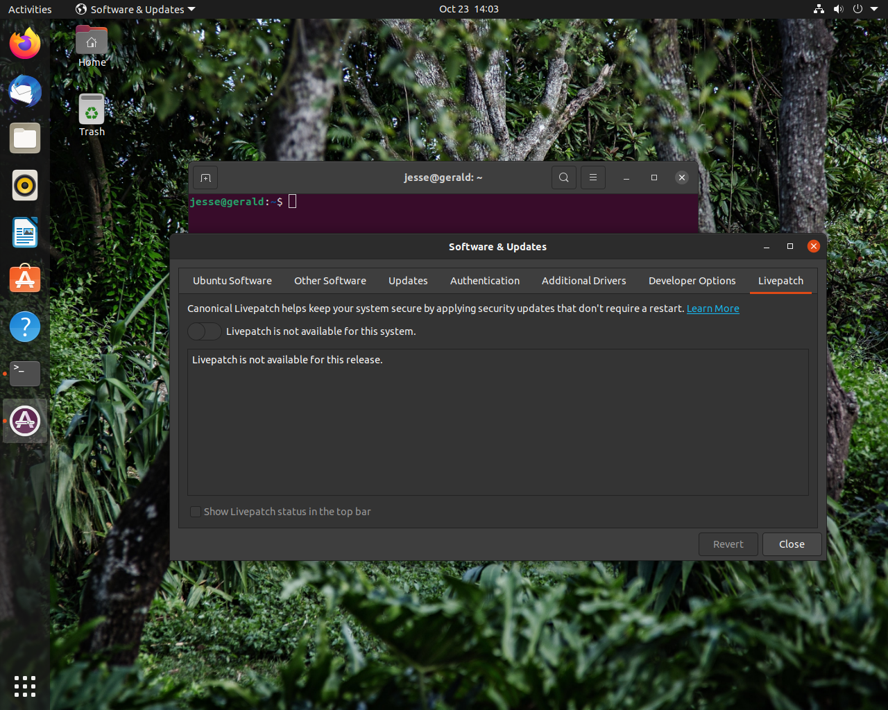 Ubuntu desktop screenshot: 20.10 livepatch