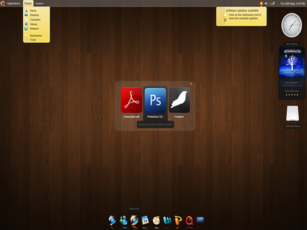 Ubuntu desktop screenshot: 9.04 alpha1