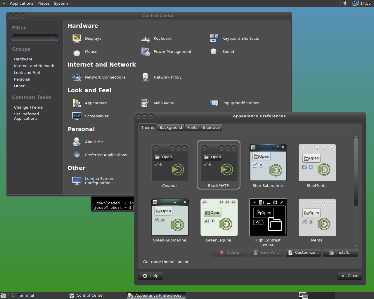 Void desktop screenshot: 20170220 settings
