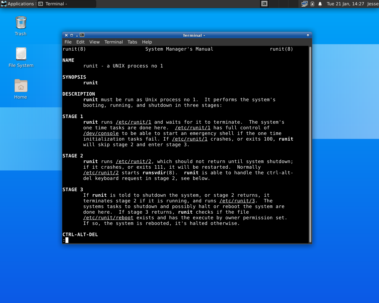 Void desktop screenshot: 20191109 runit