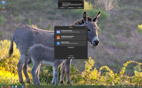 ZenLake desktop screenshot: Distribution overview